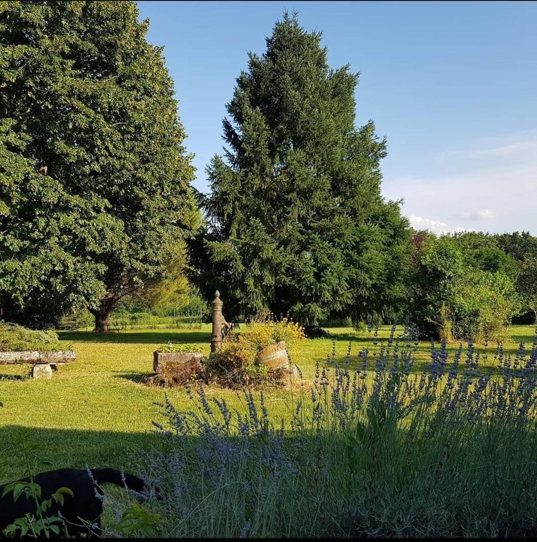 Saint-Martin-du-Bois Clos De La Source住宿加早餐旅馆 外观 照片